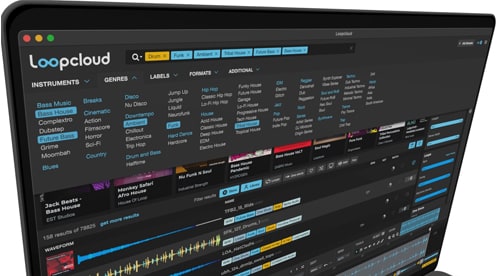 Procura de amostras em Loopcloud 5