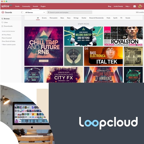 Loopcloud 5 versus Splice Sounds